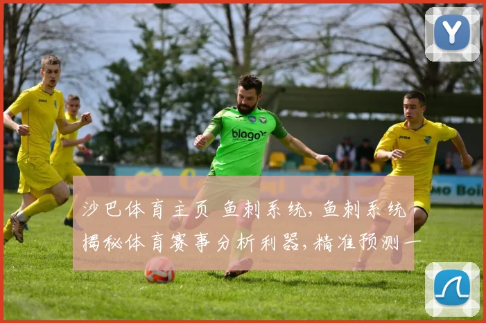 沙巴体育主页 鱼刺系统,鱼刺系统揭秘体育赛事分析利器,精准预测一触即发