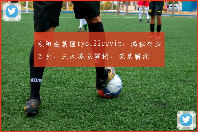太阳成集团tyc122ccvip，揭秘行业巨头，三大亮点解析，深度解读