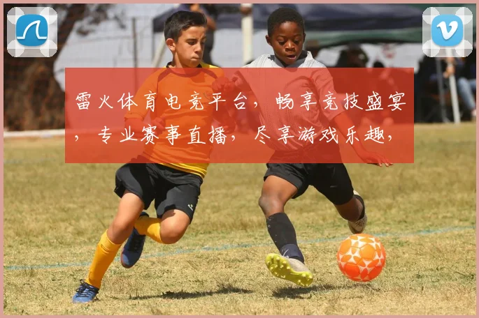雷火体育电竞平台，畅享竞技盛宴，专业赛事直播，尽享游戏乐趣，两大特色，不容错过